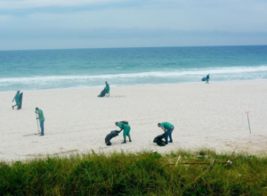 Prefeitura de Araruama realiza mutirão de limpeza nas orlas de Praia Seca