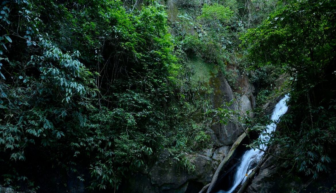Mata Atlântica tem água de boa qualidade em 6,9% dos rios
