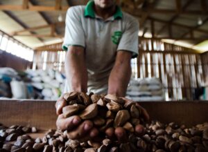 BNDES vai destinar R$ 2,5 milhões para bioeconomia na Amazônia