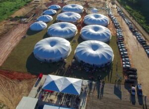 Biotec Maricá completa 1 ano de inovações na busca pelo futuro sustentável