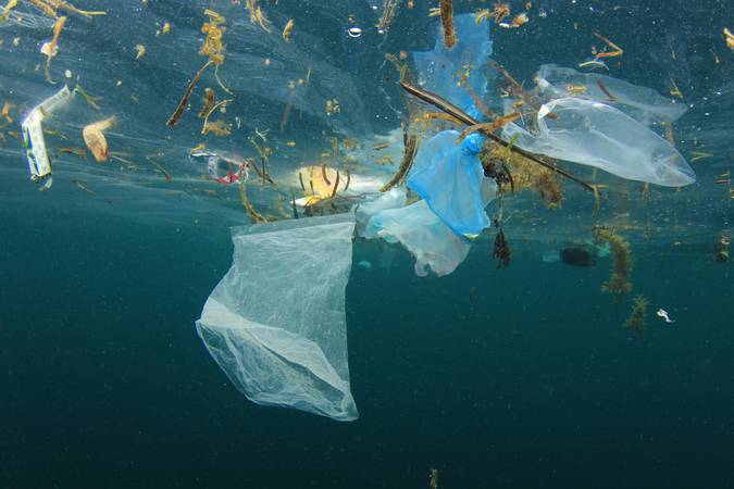 Ação de limpeza retira cerca de 2 toneladas de resíduos do fundo do mar em Arraial do Cabo