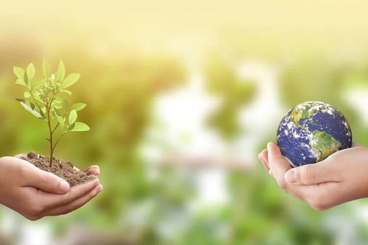 Secretarias de Meio Ambiente e Obras iniciam solicitação de autorização para realização dos serviços de limpeza e desassoreamento de corpos hídricos no município