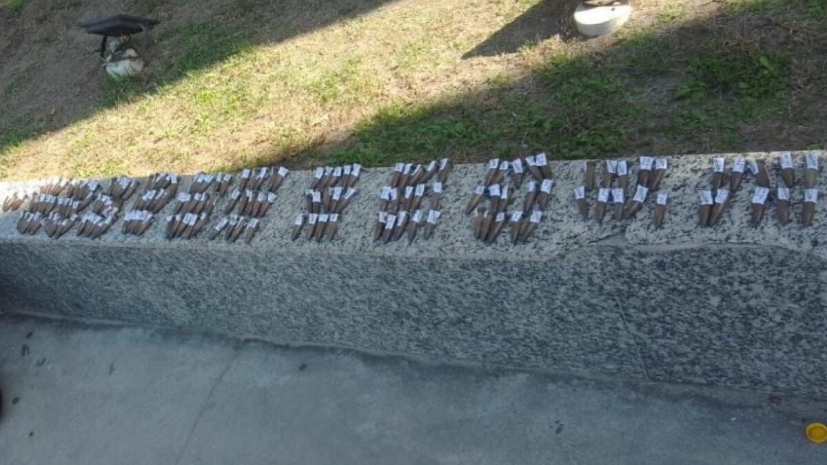 PM prende acusado de tráfico e apreende drogas na Região dos Lagos