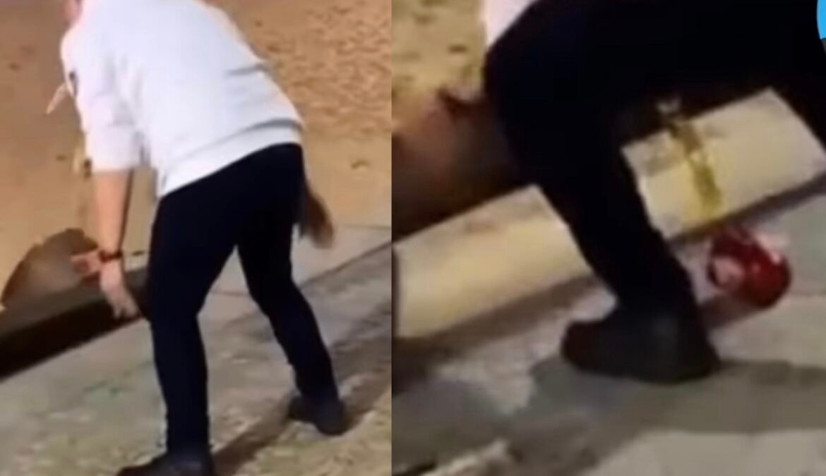 Vandalismo: Homem destrói bancos de madeira na orla de Rio das Ostras