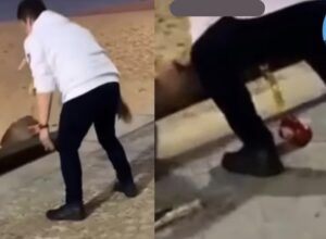 Vandalismo: Homem destrói bancos de madeira na orla de Rio das Ostras