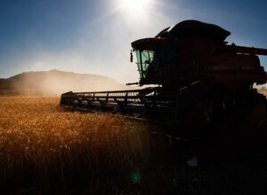 Governo faz ajustes em programas de concessão de crédito rural