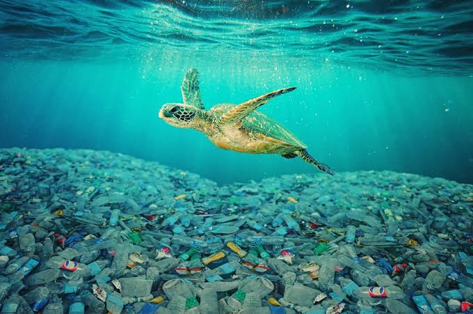 Mar sem lixo: Sábado é dia de mutirão de limpeza nas praias de Rio das Ostras