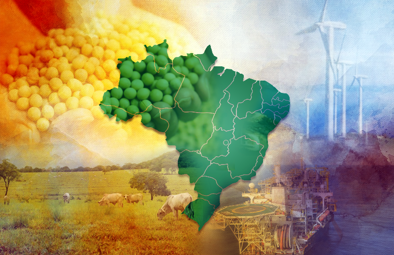 Estabilidade Econômica no Brasil: Desvendando os indicadores que moldam o progresso nacional