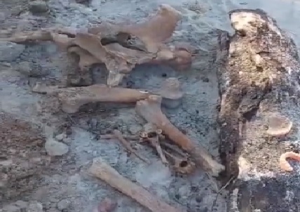 Ossada humana é encontrada dentro de carro em Bom Jardim