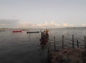 Período de defeso dos crustáceos garante pescado de qualidade em São Pedro da Aldeia