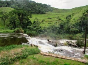 Rio Claro, RJ: O Encontro Harmonioso entre Natureza e História