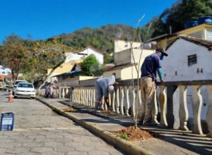 Renovação na Rua Nova: Transformações em Bom Jardim