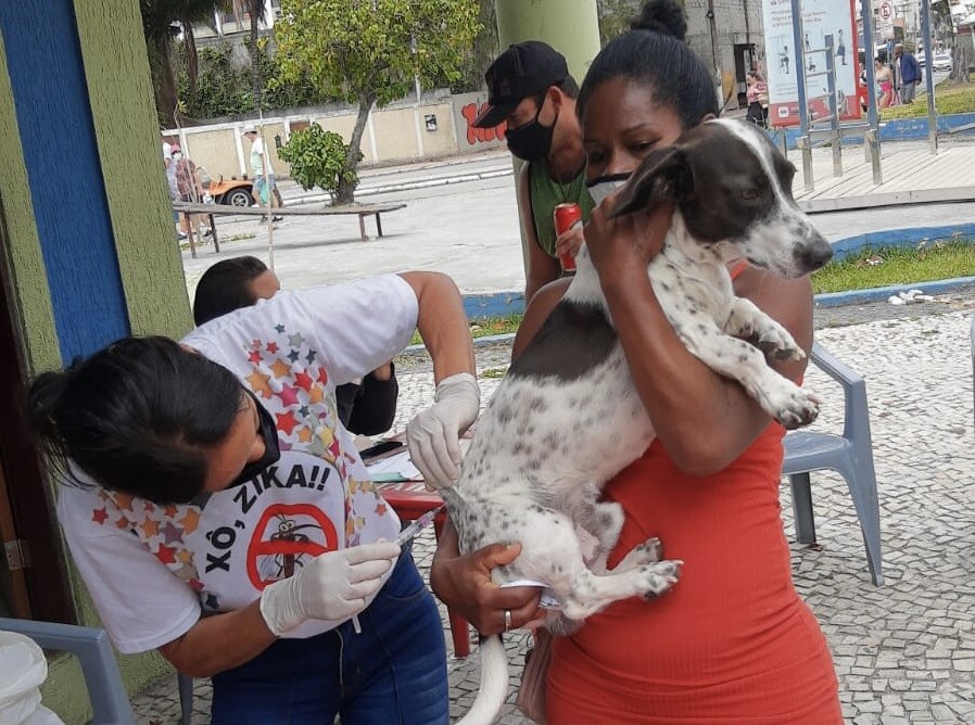 Capacitação para a Campanha Antirrábica, em Cabo Frio, mobiliza mais de 300 voluntários