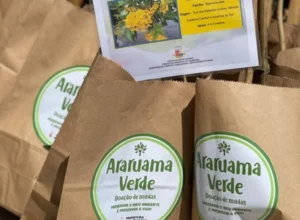 Araruama é Verde: mais de 20 mil mudas doadas através do revolucionário projeto de sustentabilidade ambiental