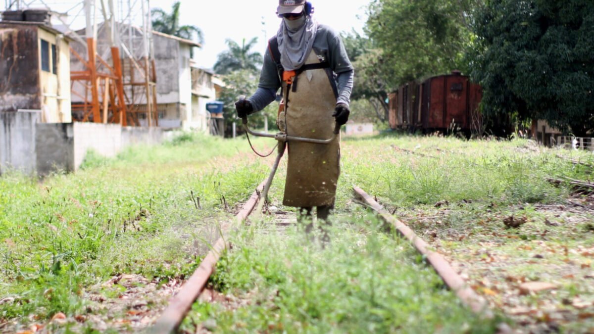 Serviços Públicos continua com limpeza de ruas e terrenos em bairros de Carapebus