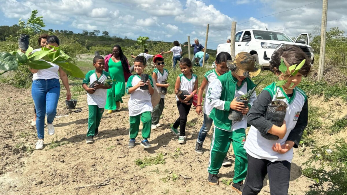 Prefeitura realiza plantio de espécies nativas em comemoração ao Dia da Árvore