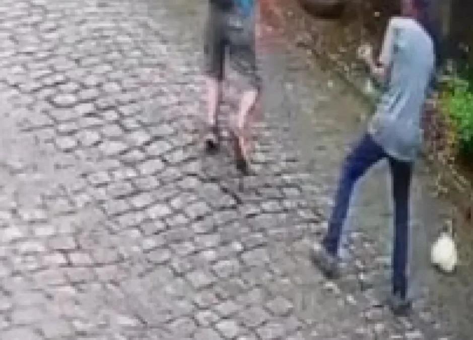 Acusado de assaltar idoso de 70 anos é preso em Bom Jardim