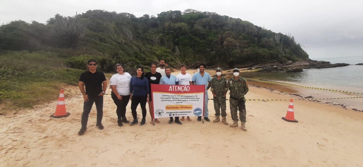 Secretaria do Ambiente acompanha Institutos de Pesquisa no trabalho para saber a causa da morte do filhote de baleia encontrado em águas buzianas