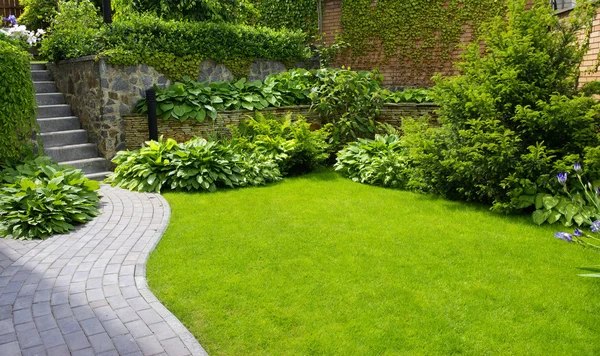 Três Dicas Essenciais para Transformar o Seu Jardim