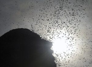 Com onda de calor, temperaturas devem bater 40 graus no Rio de Janeiro