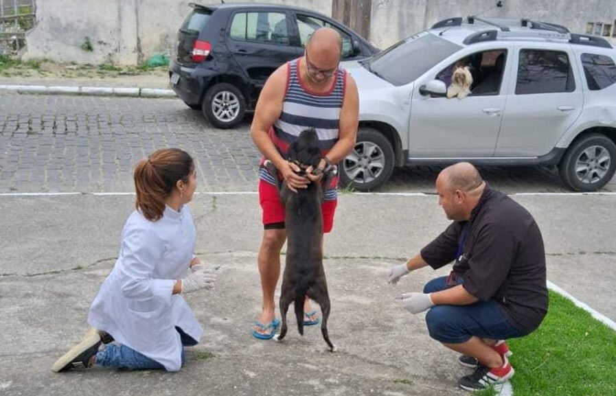 Mais de 15 mil animais são vacinados na primeira etapa da Campanha de Vacinação Antirrábica, em Cabo Frio