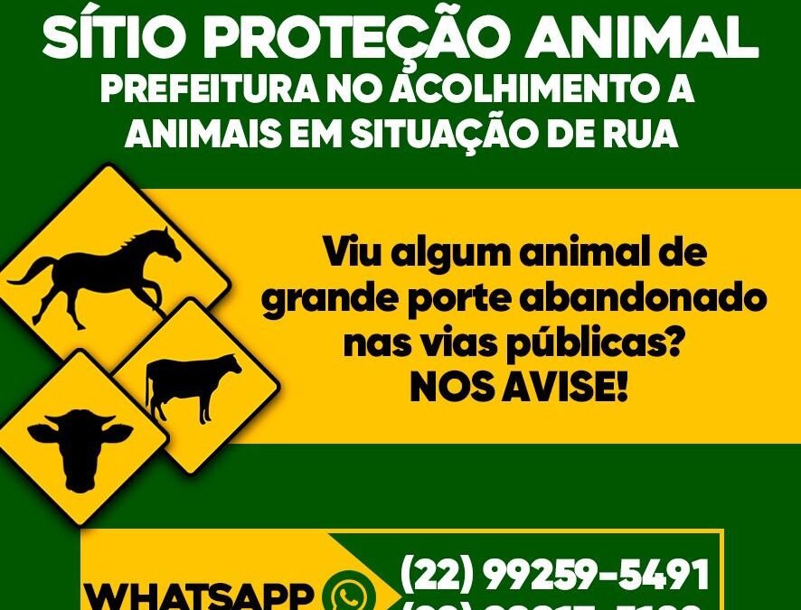 Notícias – Prefeitura cria canais de denúncia para resgatar animais de grande porte em vias públicas, através do projeto “Sítio Proteção Animal”