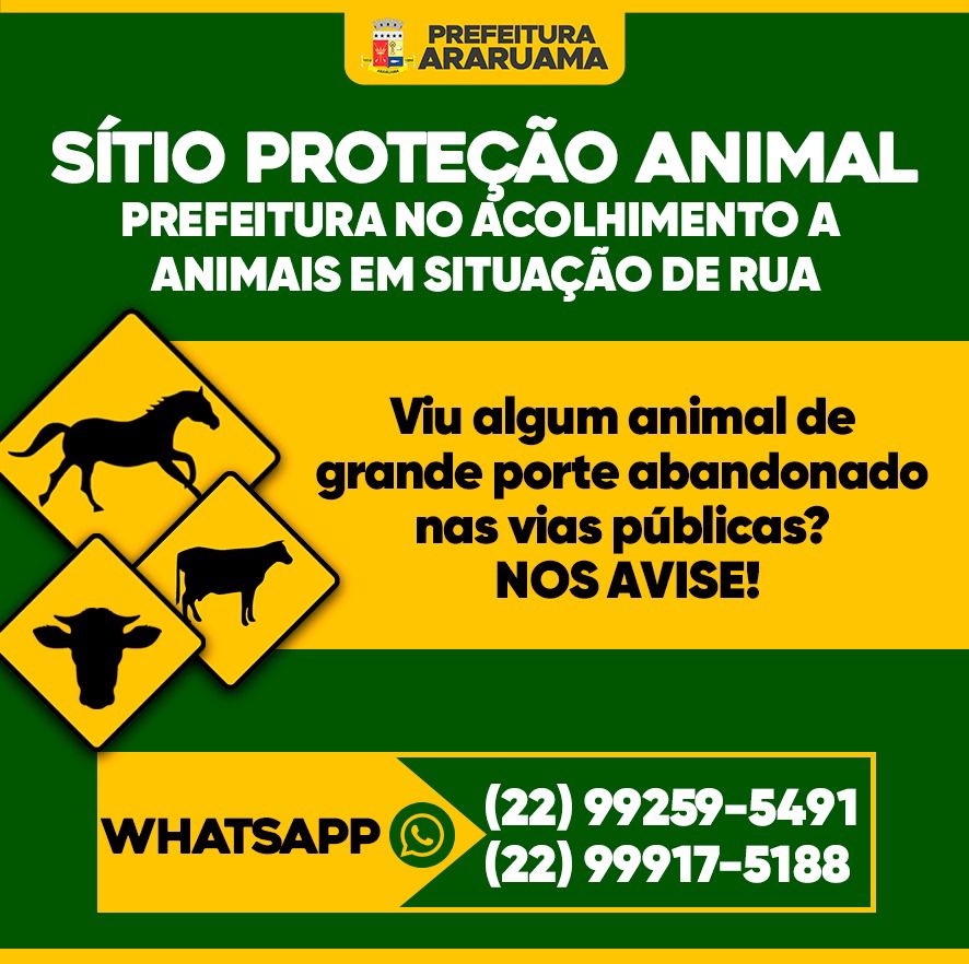 Notícias – Prefeitura cria canais de denúncia para resgatar animais de grande porte em vias públicas, através do projeto “Sítio Proteção Animal”