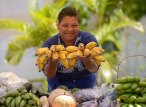 Agricultores de Campos atentos à chamada pública do Exército para compra de alimentos
