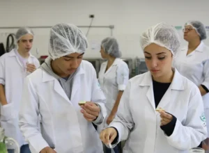 Educação técnica está entre investimentos mais rentáveis, diz pesquisa
