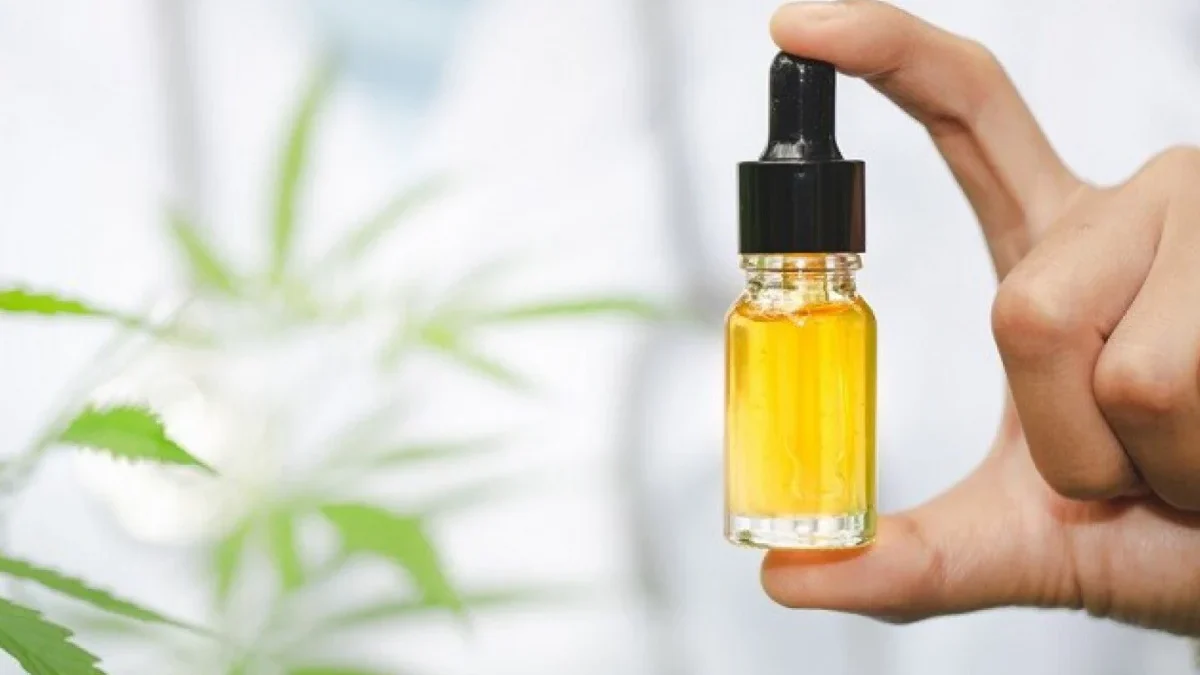 Sancionada lei que prevê fornecimento gratuito de cannabis medicinal