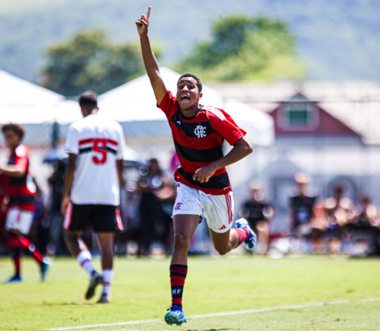 Proposta de SAF para Flamengo ‘à la Bayern de Munique’ é pouco provável, diz especialista