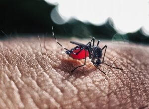Dengue avança em ritmo acelerado no estado do Rio de Janeiro