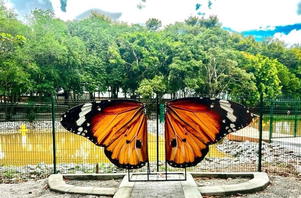 Araruama vai inaugurar o extraordinário Botânico das Asas
