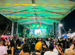 Pinheiral: Carnaval da Família 2024 atrai milhares de foliões e é sucesso