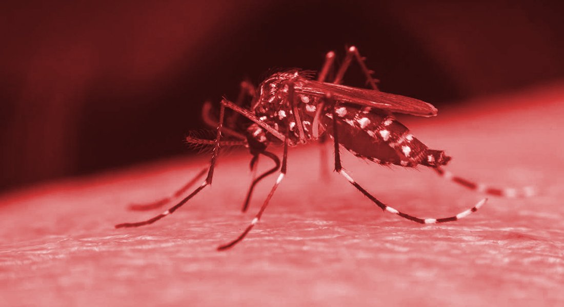 Dengue no Rio tem número de casos seis vezes maior que o esperado