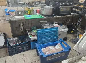 Camarote da Sapucaí é flagrado preparando alimentos no banheiro