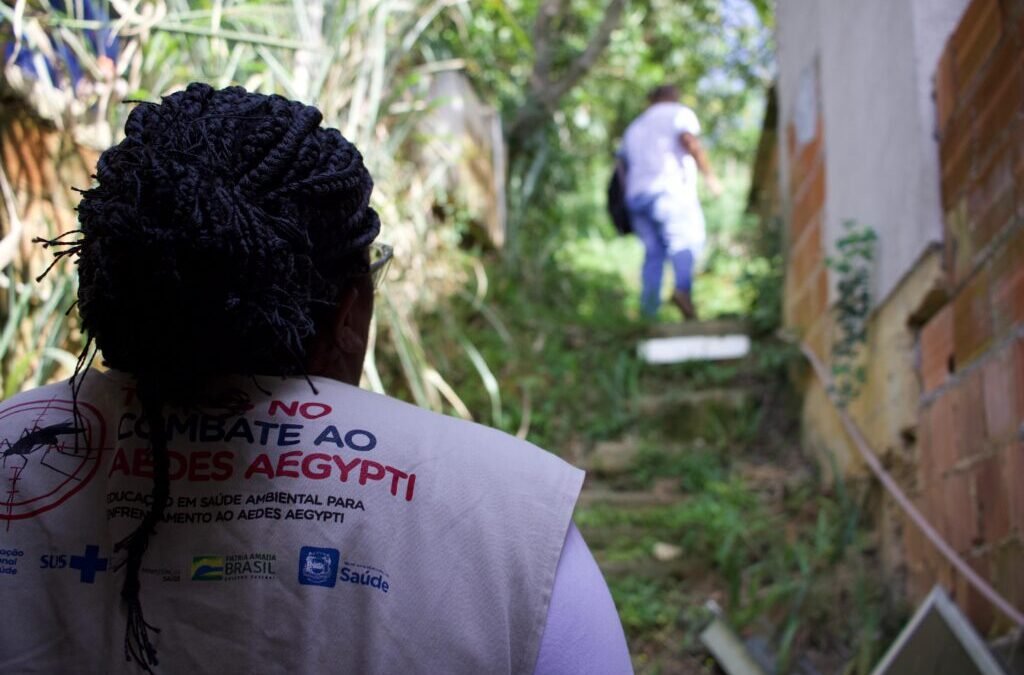 O combate ao Aedes aegypti continua em Vassouras
