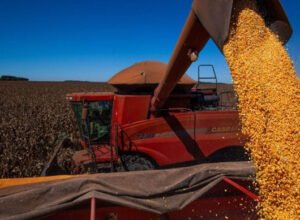 O agro é um dos melhores corretores de imóveis do Brasil