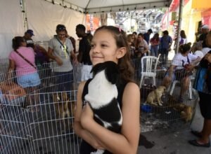 Proteção Animal promoveu feira de adoção de cães e gatos em frente ao Cecop