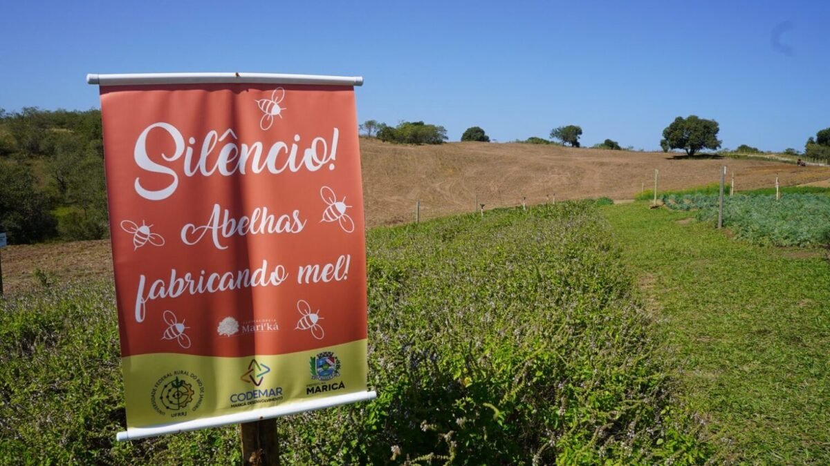 Farmácia Viva de Maricá tem 30 espécies de ervas medicinais