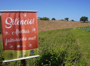 Farmácia Viva de Maricá tem 30 espécies de ervas medicinais