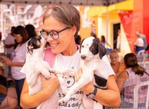 Proteção Animal consegue lar para 15 cães e gatos
