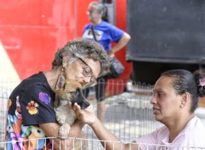 Proteção Animal consegue lar para nove cães e gatos