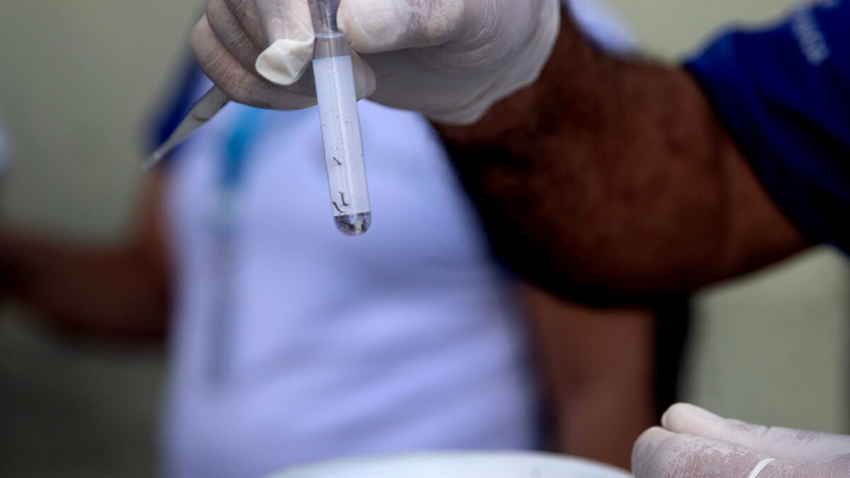 A Prefeitura de Macaé realizou uma capacitação online sobre o manejo clínico da dengue e outras arboviroses