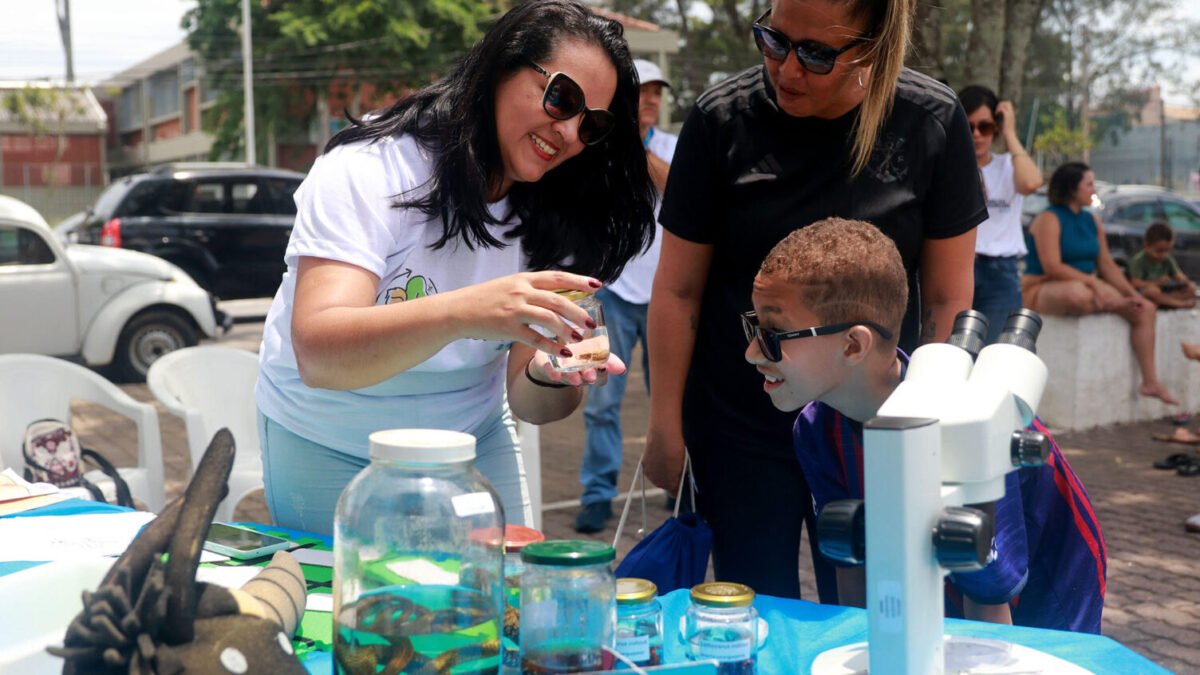 Combate ao Aedes: dia D será na próxima quarta-feira (12) em Macaé