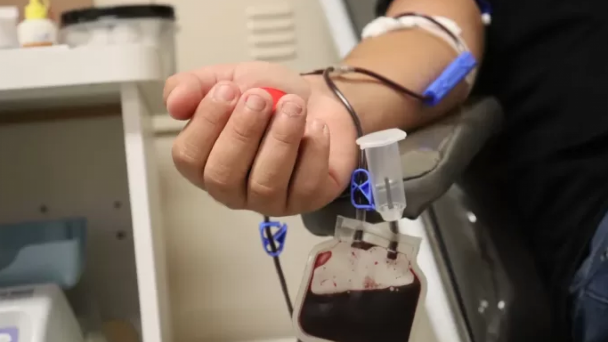 Hemolagos convoca voluntários para o dia D de doação de sangue
