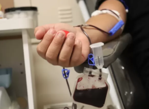 Hemolagos convoca voluntários para o dia D de doação de sangue