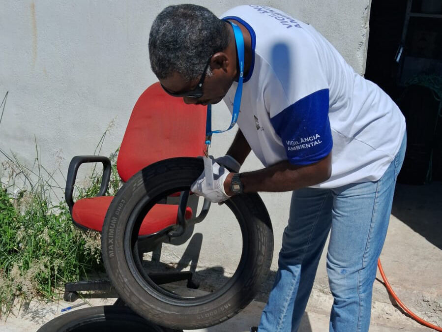 Iniciativa de combate aos mosquitos tem início nesta segunda