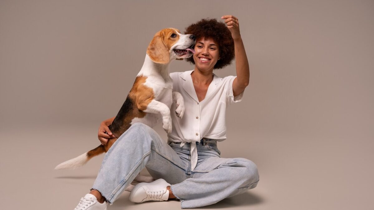 Porto da Barra promove Feira de Adoção de Animais neste sábado