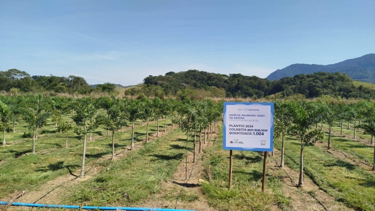 Referência nacional em paisagismo, Benedito Abud assina projeto no Bairro Harmonia